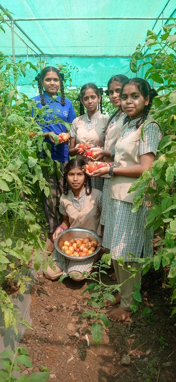 शेती कौशल्य